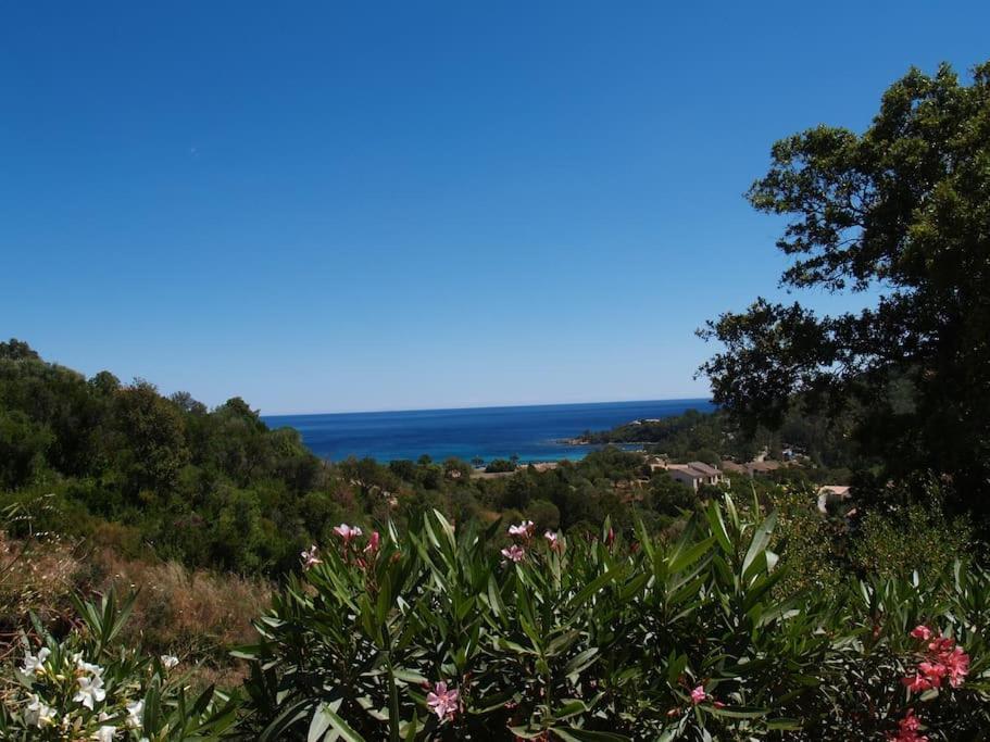 Villa Vista Mare 11 Favone Conca Esterno foto