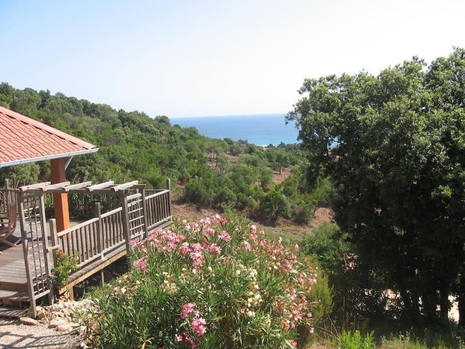 Villa Vista Mare 11 Favone Conca Esterno foto